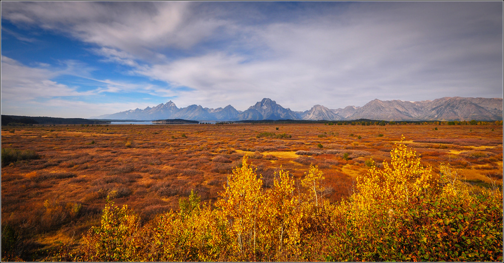 DSC_6075_1.jpg