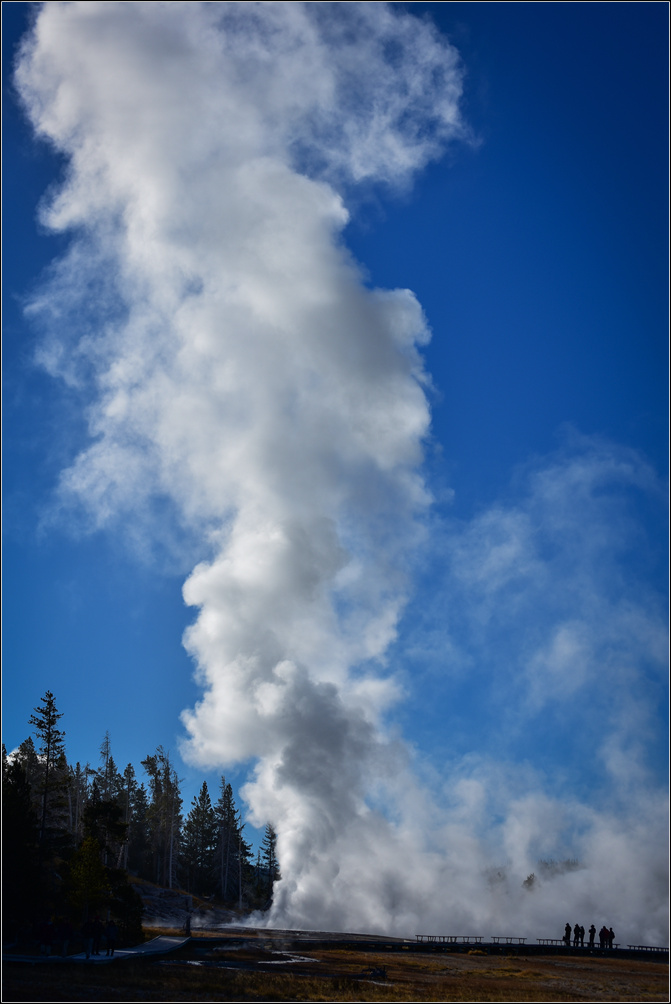 DSC_1616_1.jpg