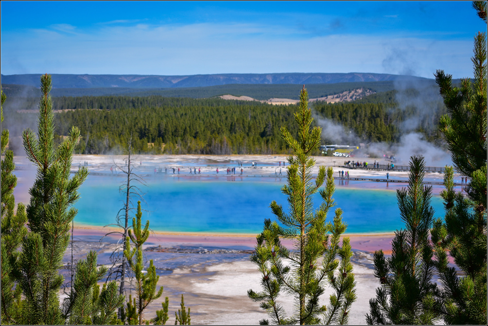 DSC_1649_1.jpg