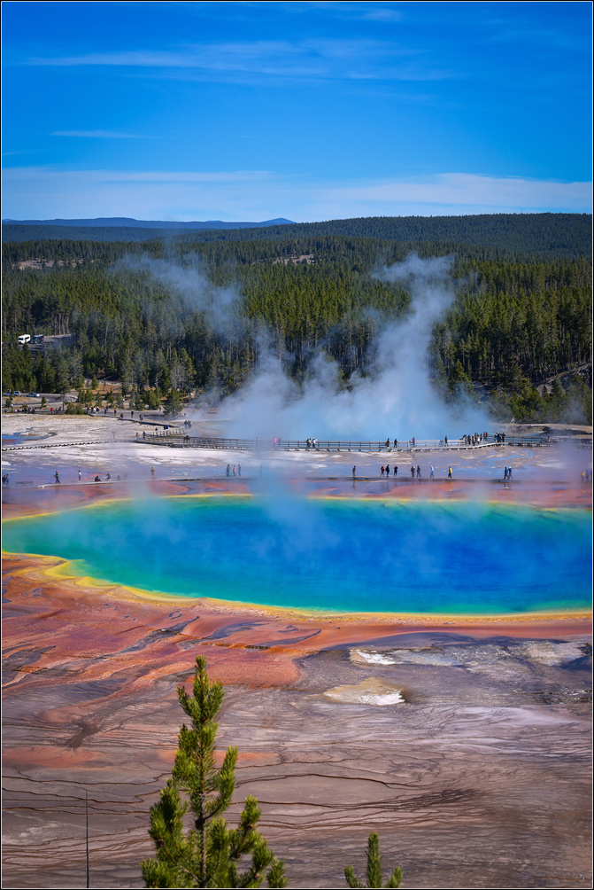 DSC_1656_1.jpg