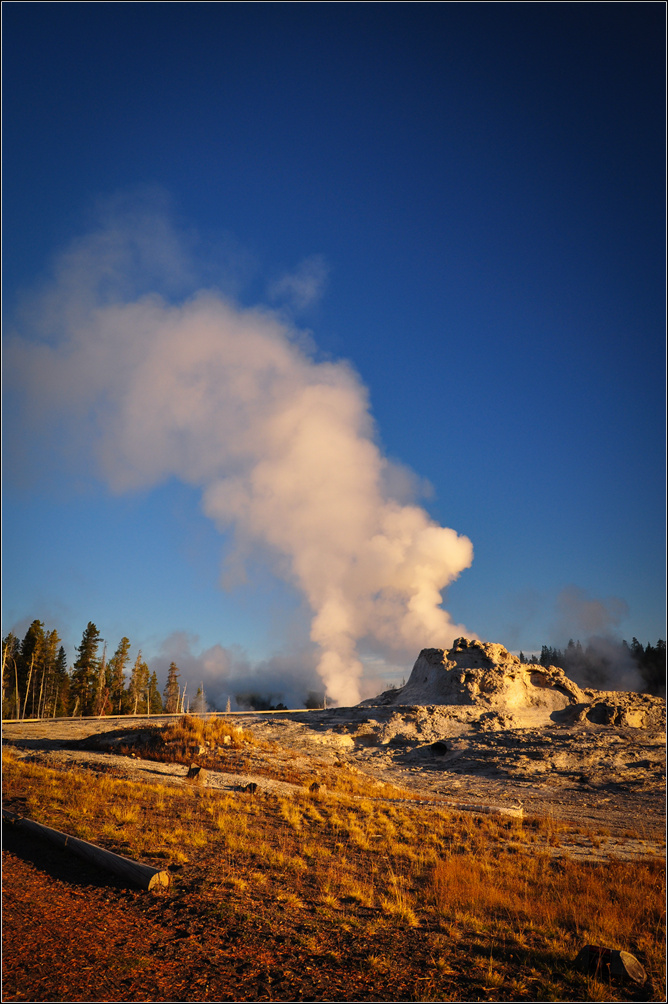 DSC_5490_1.jpg