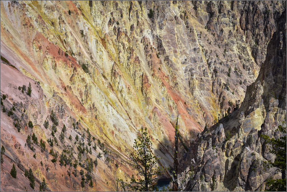 DSC_1748_1.jpg