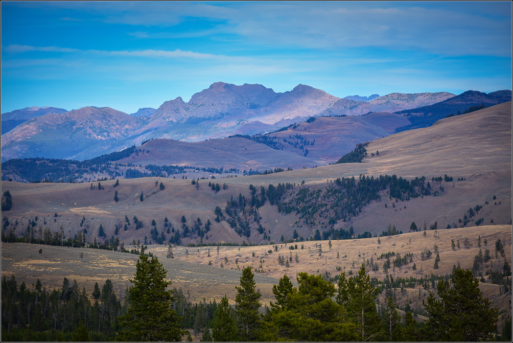 DSC_1767_1.jpg