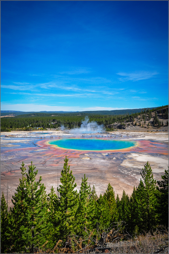 DSC_5666_1.jpg