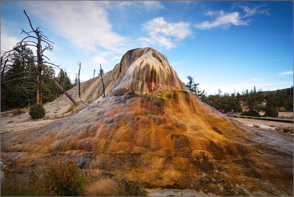 DSC_5887_1.jpg