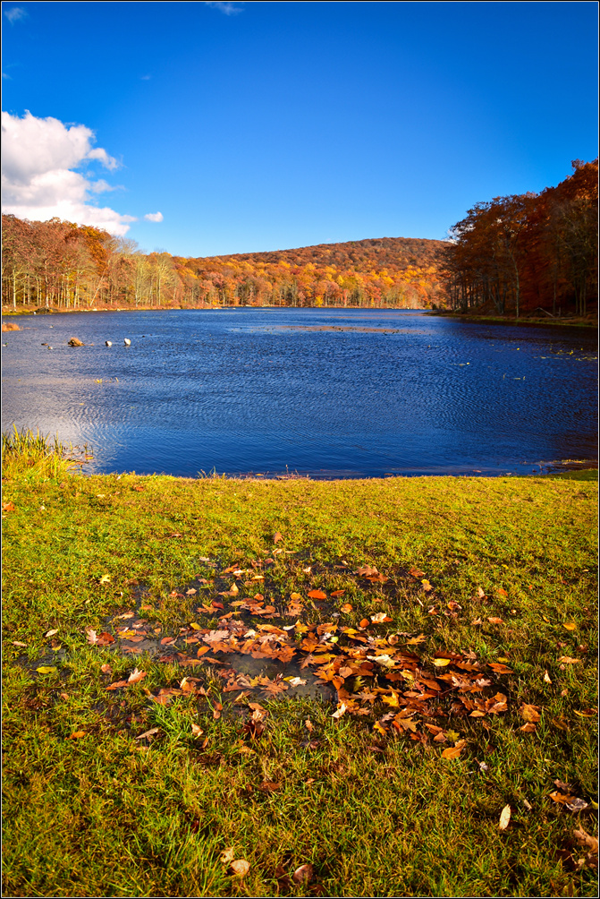 DSC_2897_1.jpg