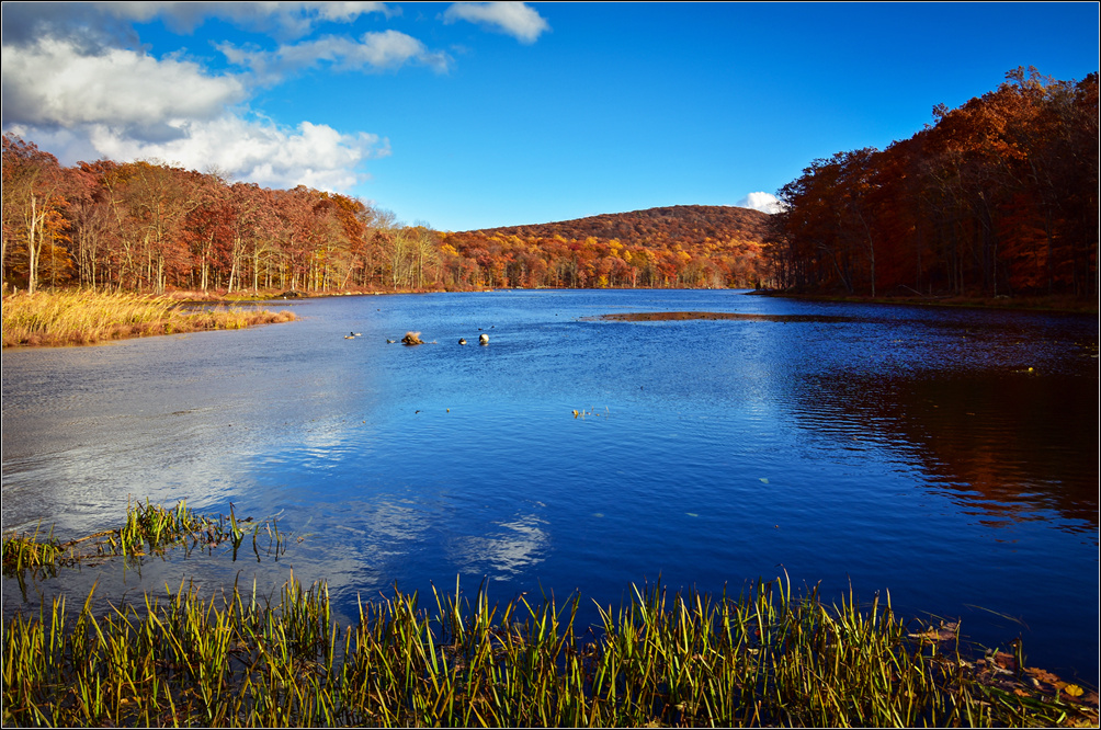 DSC_2905_1.jpg