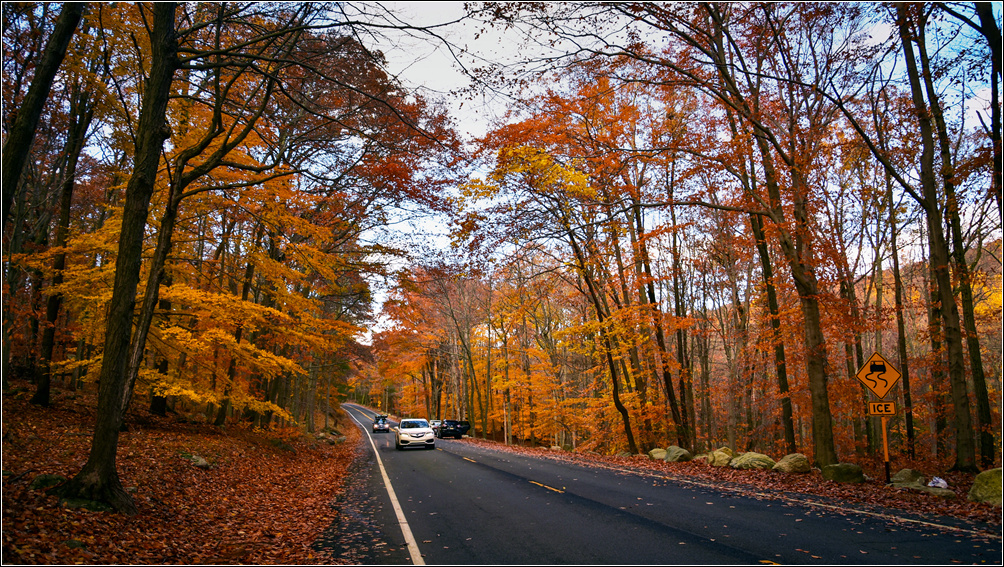 DSC_2911_1.jpg