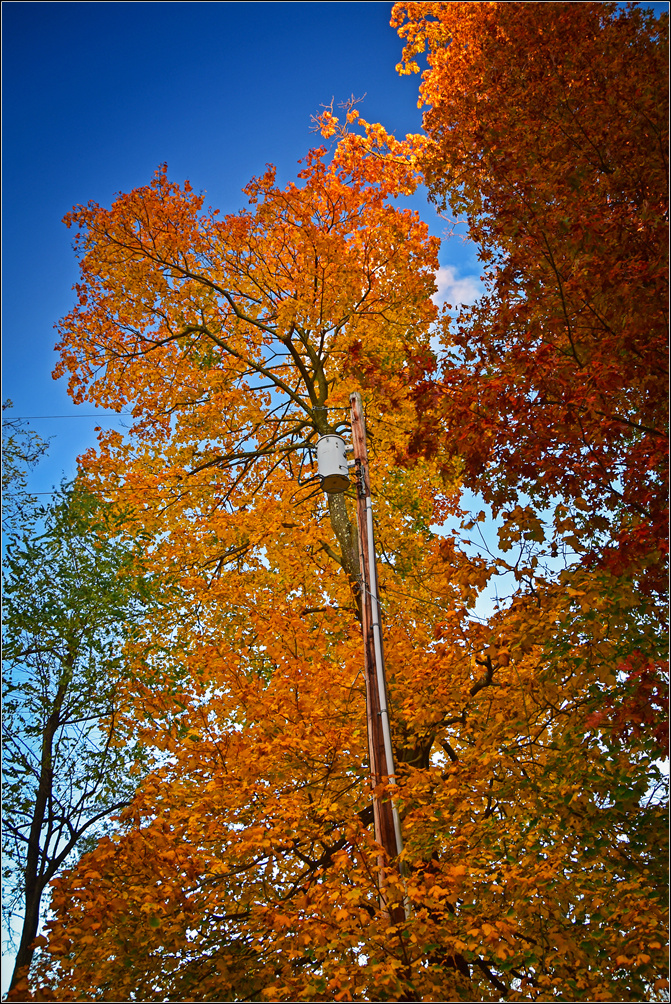 DSC_3010_1.jpg