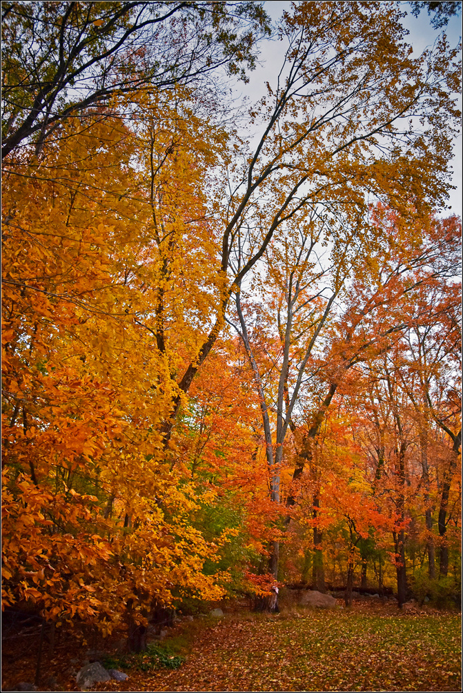 DSC_3022_1.jpg