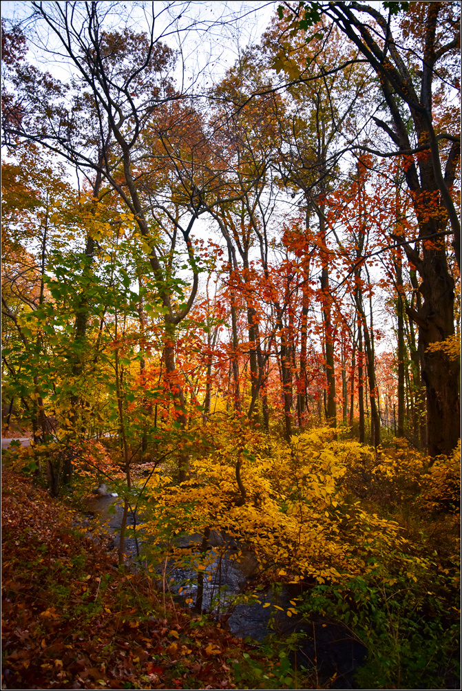 DSC_3045_1.jpg