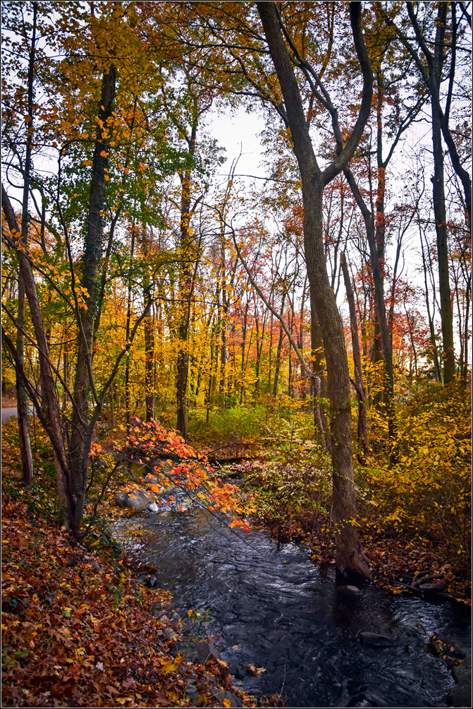DSC_3049_1.jpg