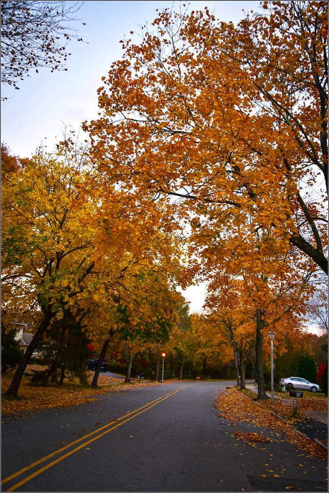 DSC_3061_1.jpg