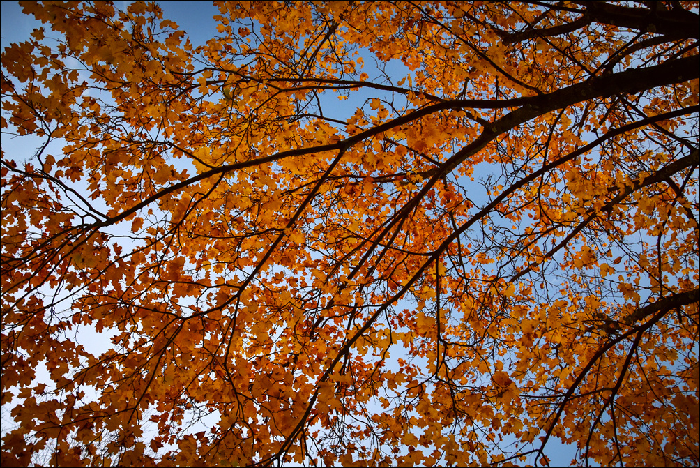 DSC_3066_1.jpg