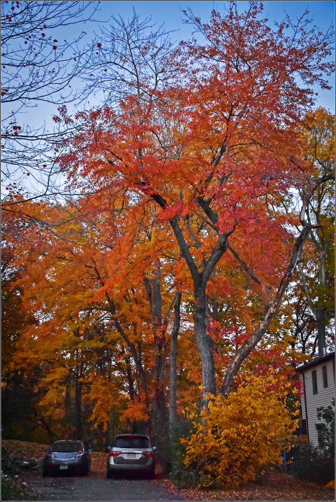 DSC_3094_1.jpg