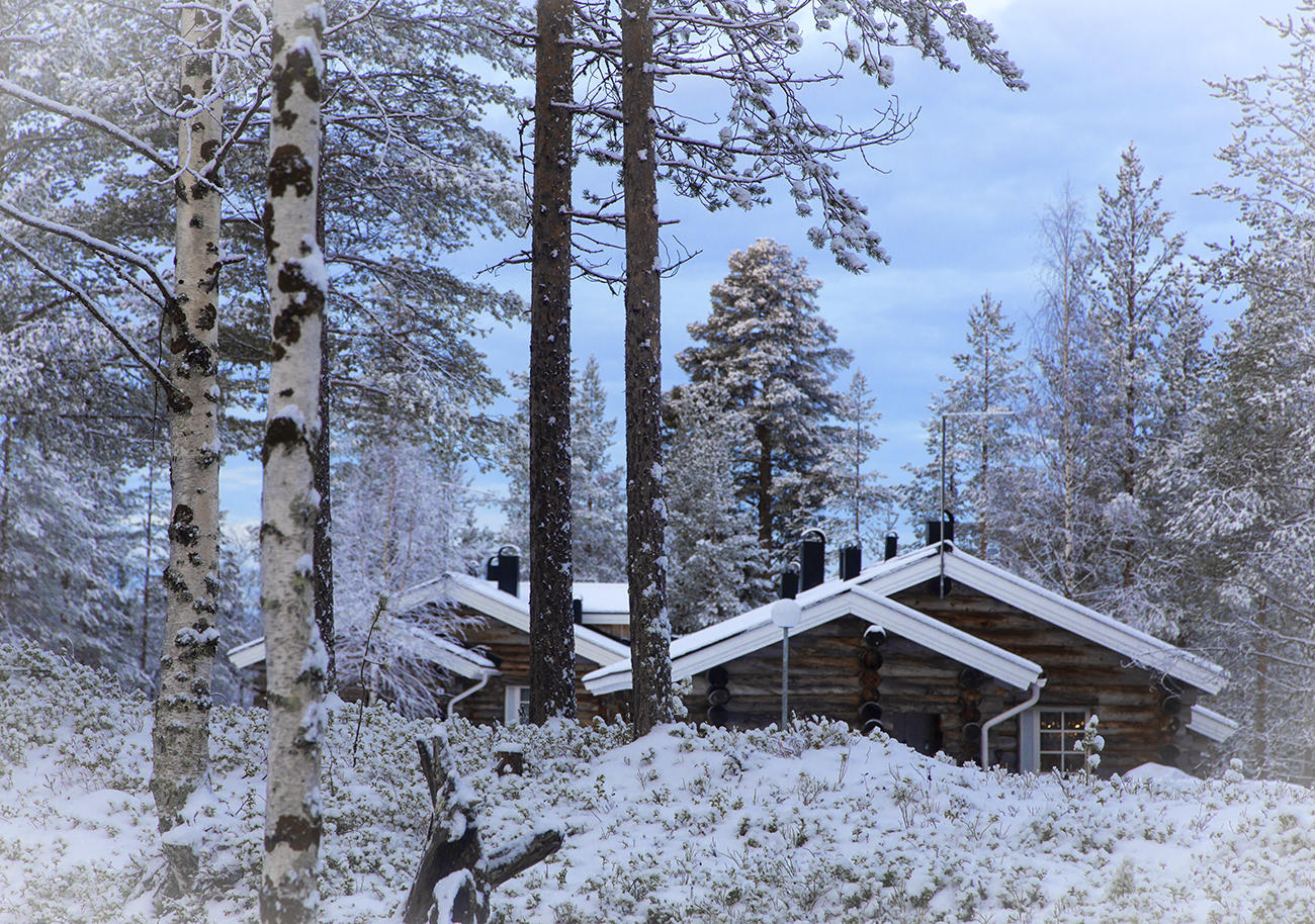 Lake Ylls morning, Lapland