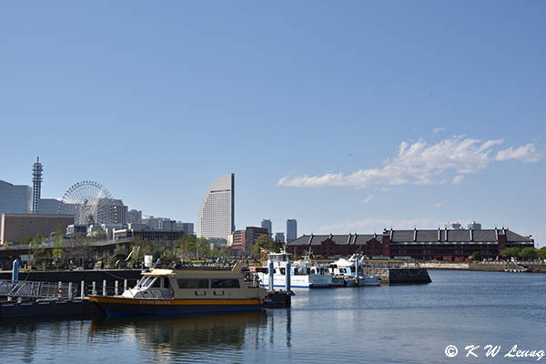 Harbour DSC_5143