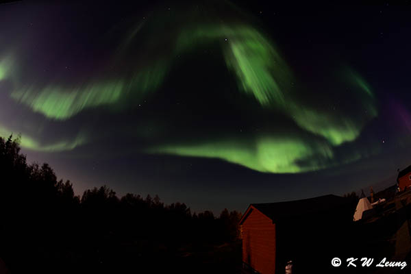 Aurora DSC_1872