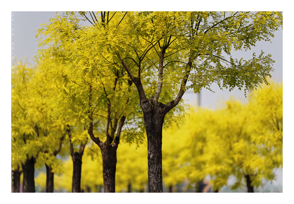 China 2018 - Beijing 70