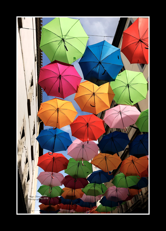 Umbrella street 4