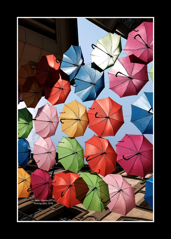 Umbrella street 5