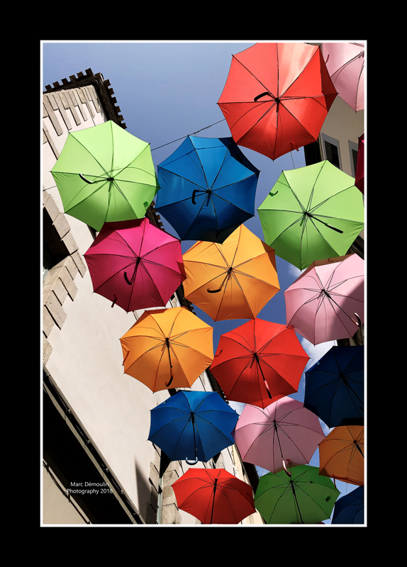 Umbrella street 12