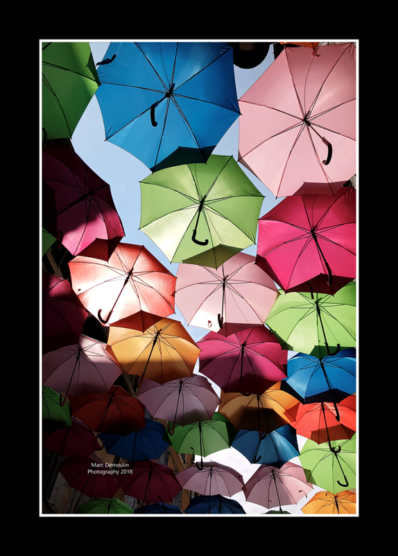 Umbrella street 20
