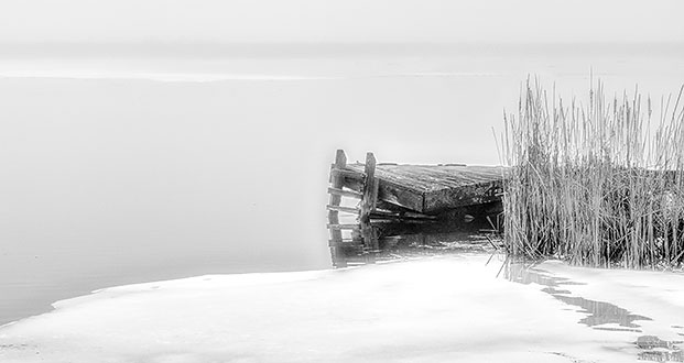 Wonky Dock & Grass In Fog DSCN03986