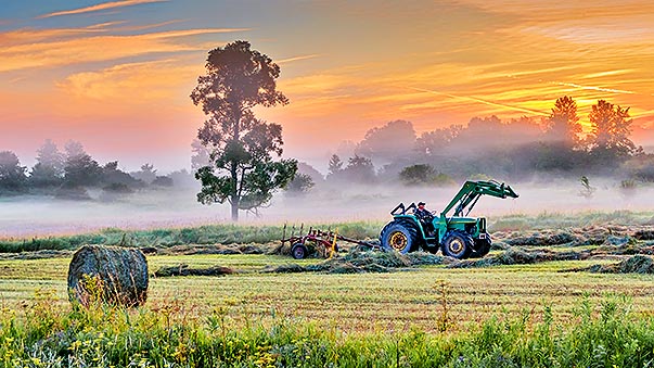 Farmer Working At Sunrise P1220629-35