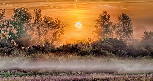Sunrise Through Ground Fog P1220685-91