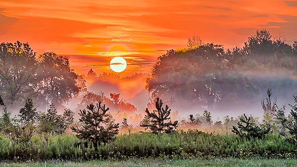 Sunrise Over Ground Fog P1220849-55