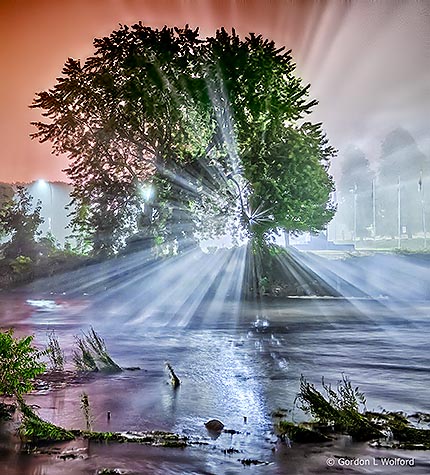 Night Fog Along The Rideau P1230083-9
