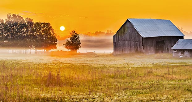 Old Barn In Foggy Sunrise P1250598-604
