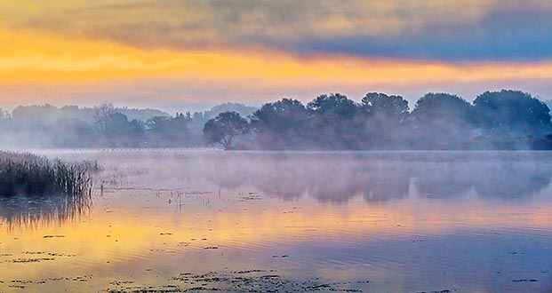 Foggy Otter Creek At Sunrise P1250852