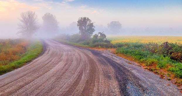 Back Road On A Foggy Morning P1250973