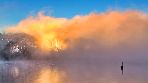 Fiery Fog P1260087-93