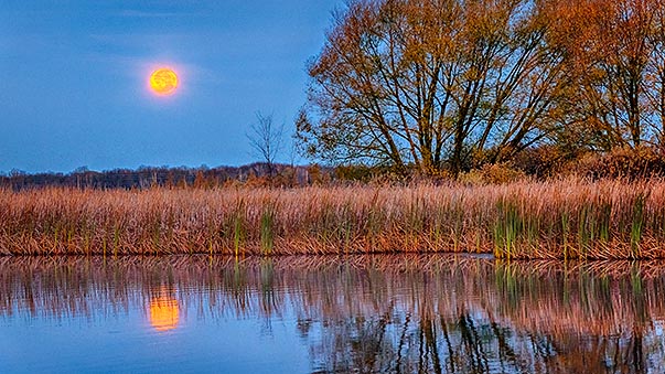 2017 Beaver (aka Frost) Moon Setting P1270310-6