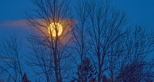 Cold Moon Rising P1280242-8