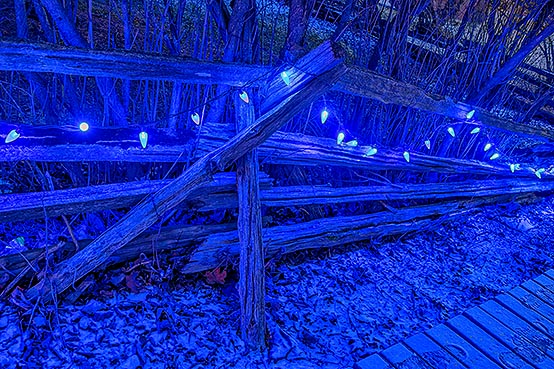 Blue Light Split-rail Fence P1280393-7