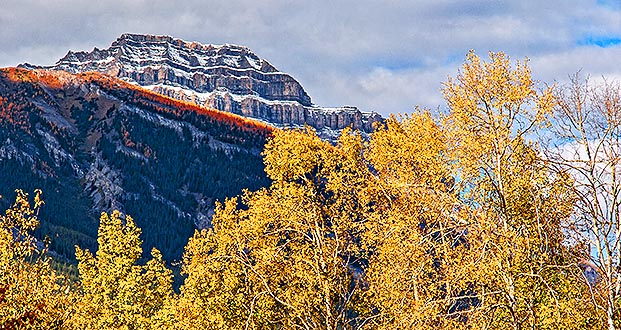 Banff National Park Scene 17254