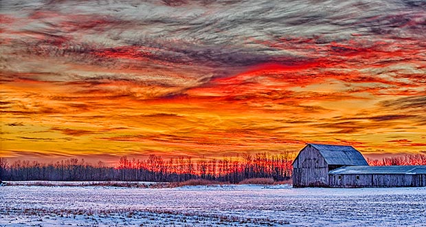 Barn At Sunrise P1290653-9