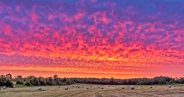 Field Of Bales At Sunrise DSCN26582-7
