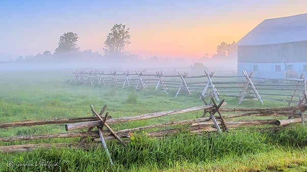 Foggy Farm P1310776-8