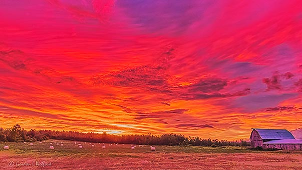 Field & Barn Under Red Sky DSCN28411-6