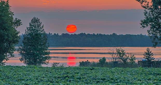 Red Sun Rising P1320310-6