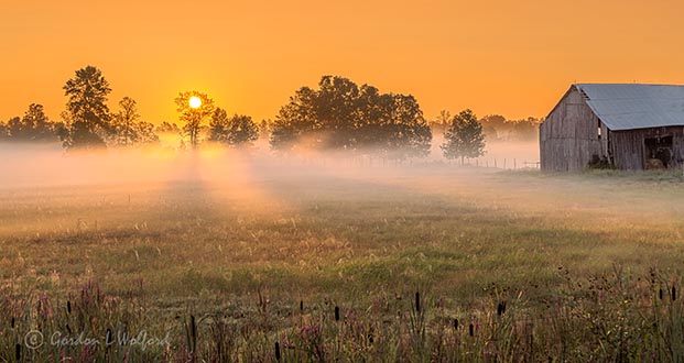 Ground Fog At Sunrise P1320866-72