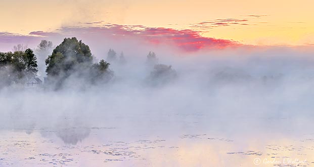 Misty Rideau Canal At Sunrise P1340432-8