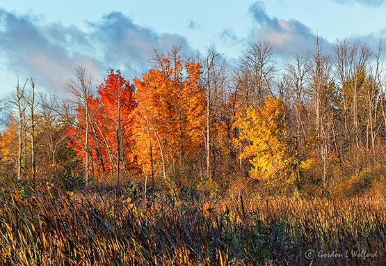 Autumnscape P1010373