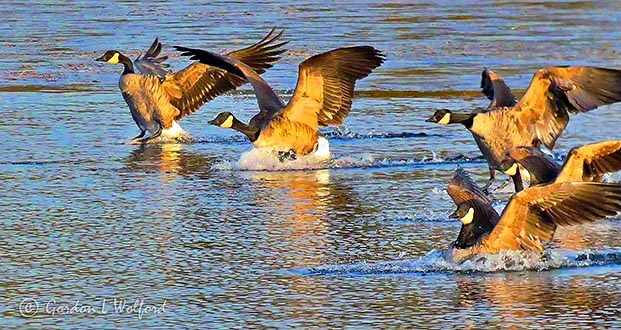 Splashdown P1030222
