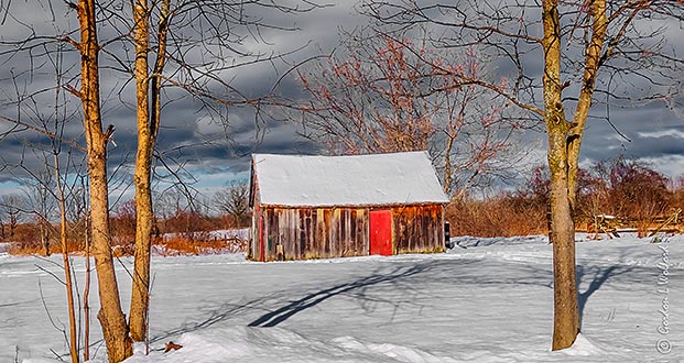 Red Door Shed P1030464-6
